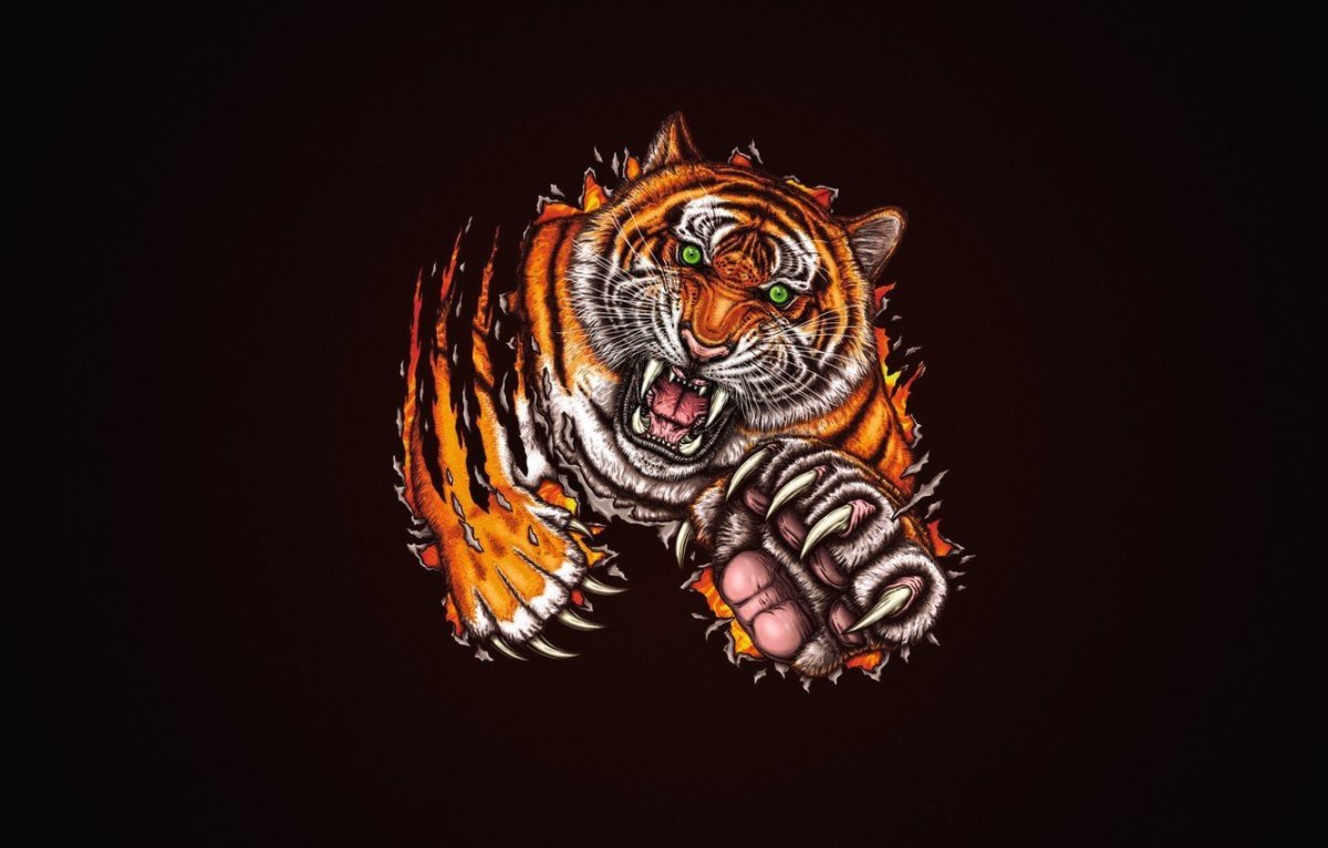Тигр вид сверху